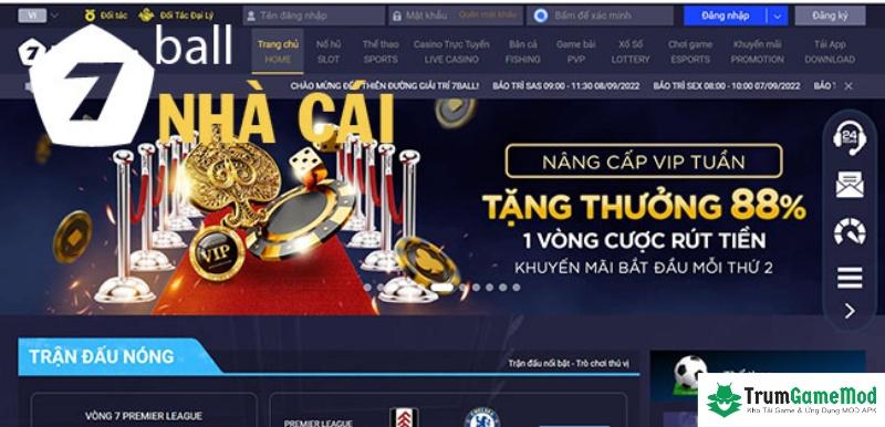 Có nên chọn nhà cái 7Ball để chơi cá cược